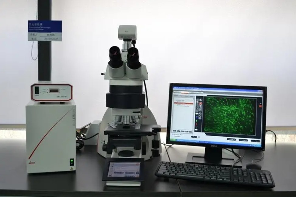 熒光顯微鏡的使用注意事項、維護和保養(yǎng)