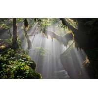 光的干涉、衍射、折射、反射、散射