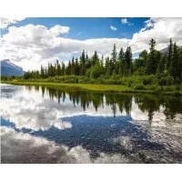 電磁波、紫外線和紅外線