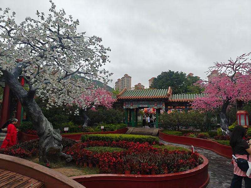 濾光片 濾光片