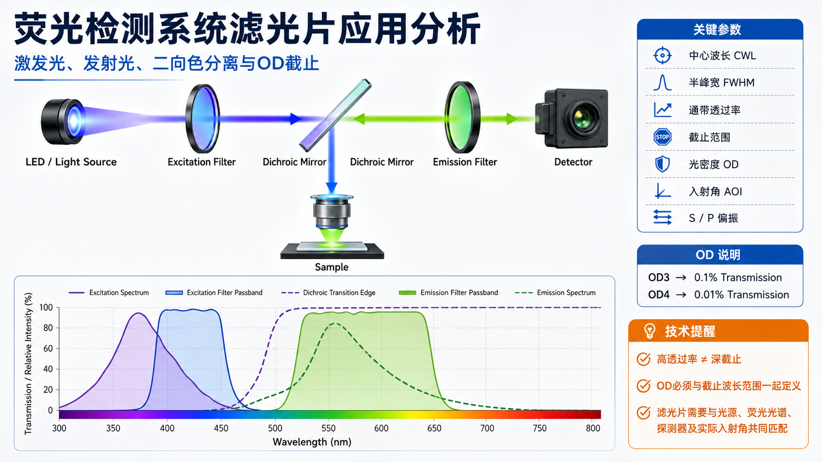 濾光片