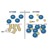 什么是化學鋼化？哪些光學鏡片可以鋼化？
